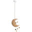 1 - Light Natural Novelty Pendant