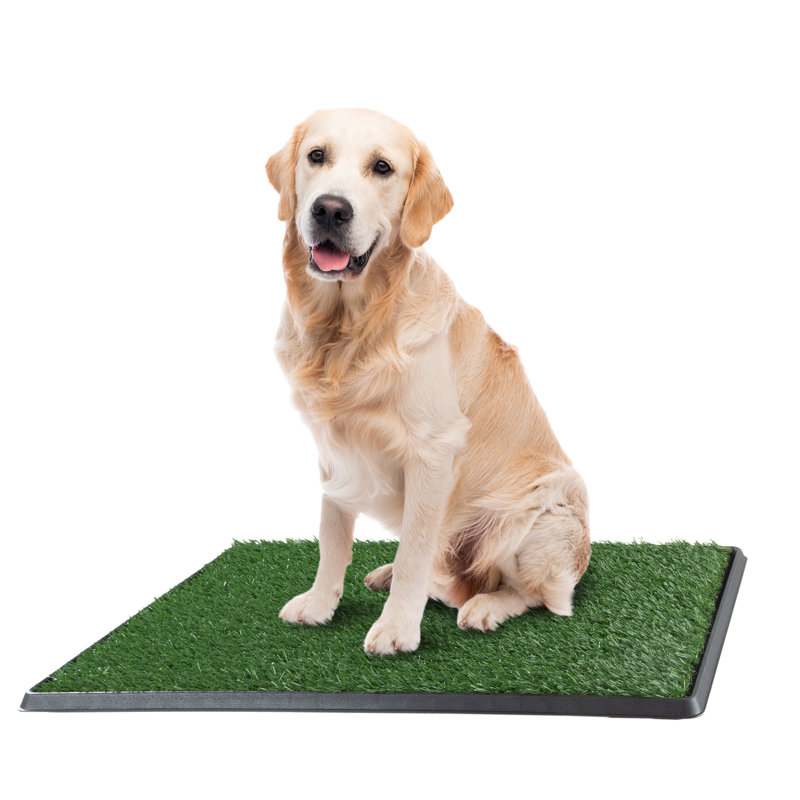 Set of 3 Green Artificial Turf Grass Pee Pads