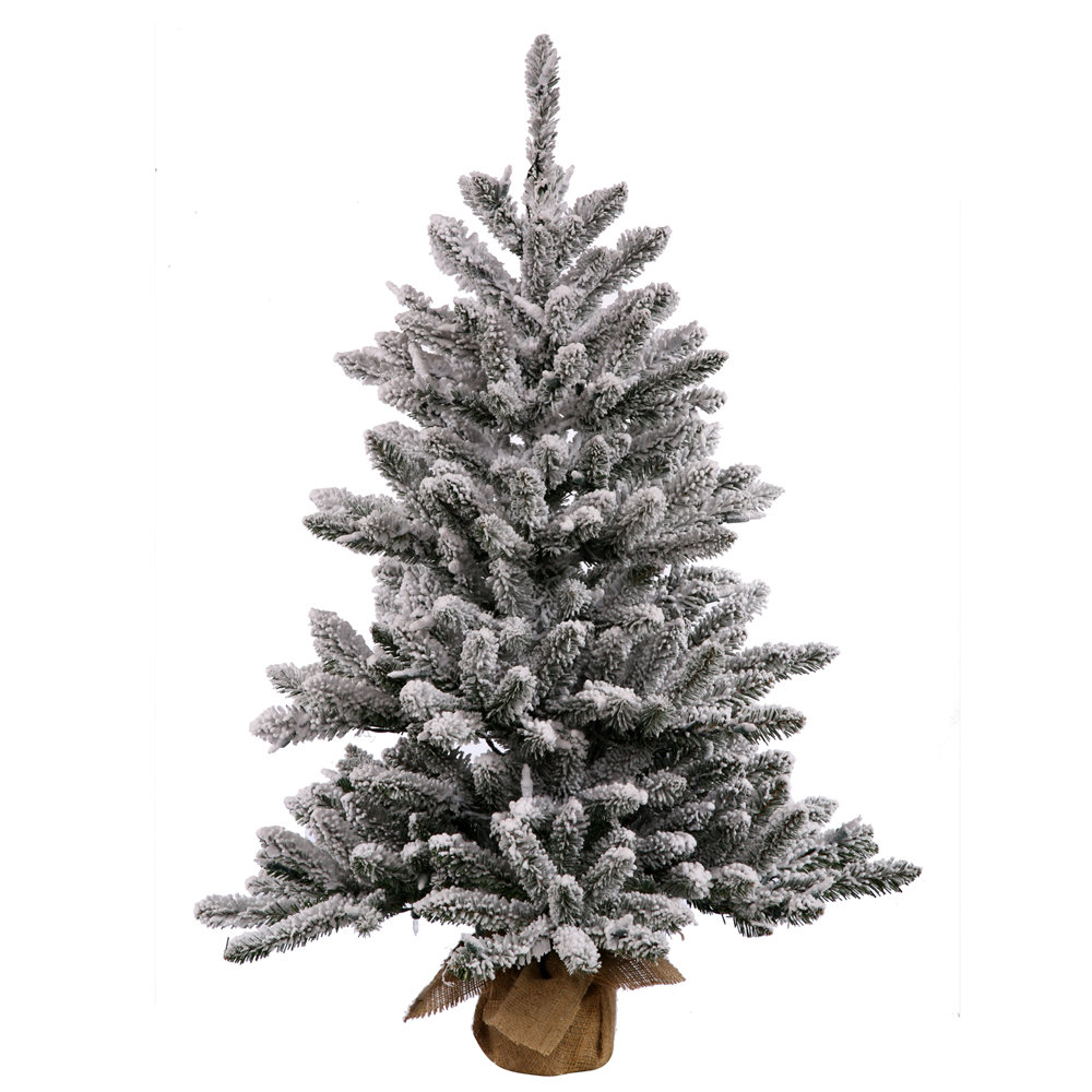 Flocked Anoka Pine 3.5' Pine Christmas Tree The Holiday Aisle®