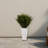 Cedar in White Tower Planter