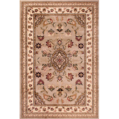 Salsbury Oriental Hand Woven Area Rug