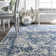 Dorothea Oriental Indoor Rug