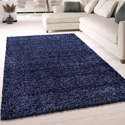 Currence Shaggy Blue/Navy Rug