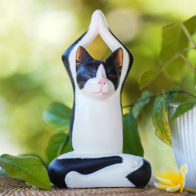 Figurine pour chat sky yoga tuxedo Evelien
