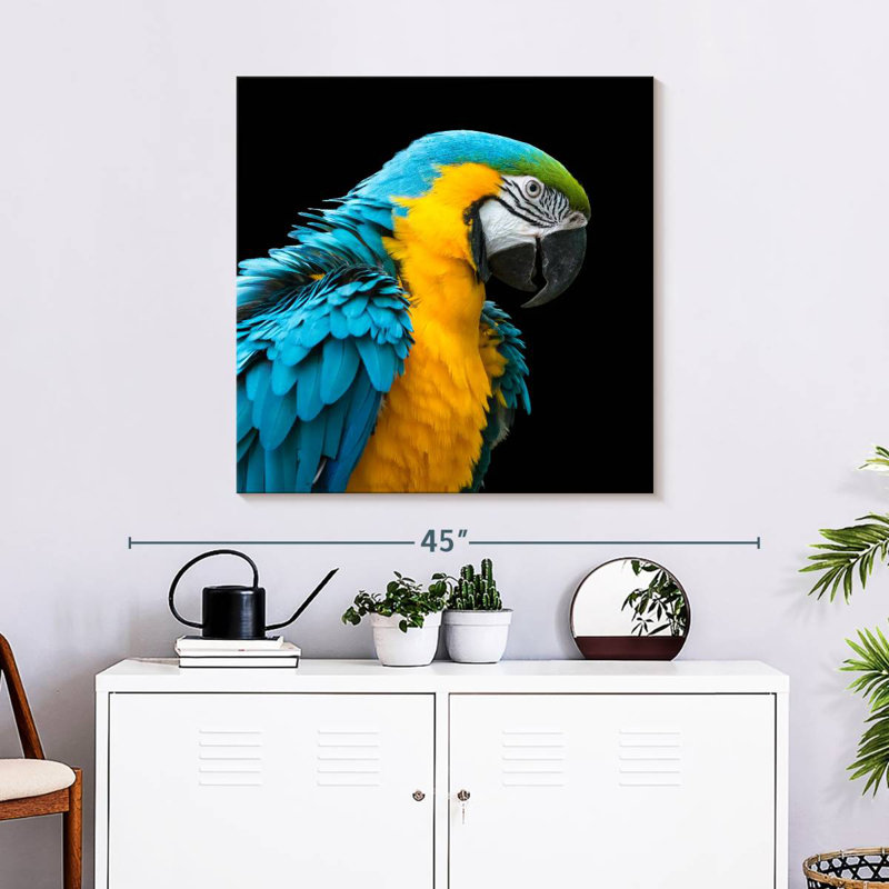 Crowle Charming Macaw, 30" H x 30" W