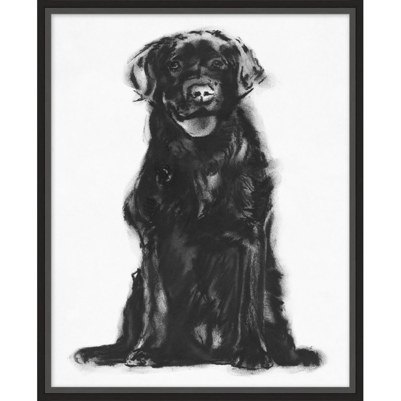 Cooper Print