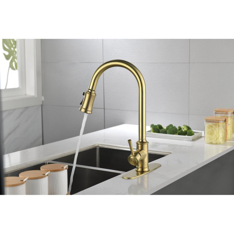 Single Handle High Arc Pull Out Kitchen Faucet,Single Level Stainlesaucets With Pull Down Sprayer, Brushed Gold