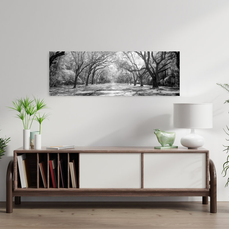 Live Oaks and Spanish Moss Wormsloe State Historic Site Savannah GA 1 Piece Wrapped Canvas Panoramic Wall Art