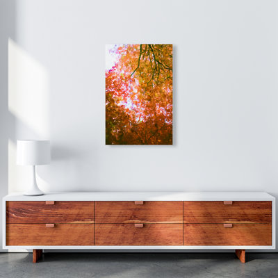 Autumn Leaves - Print