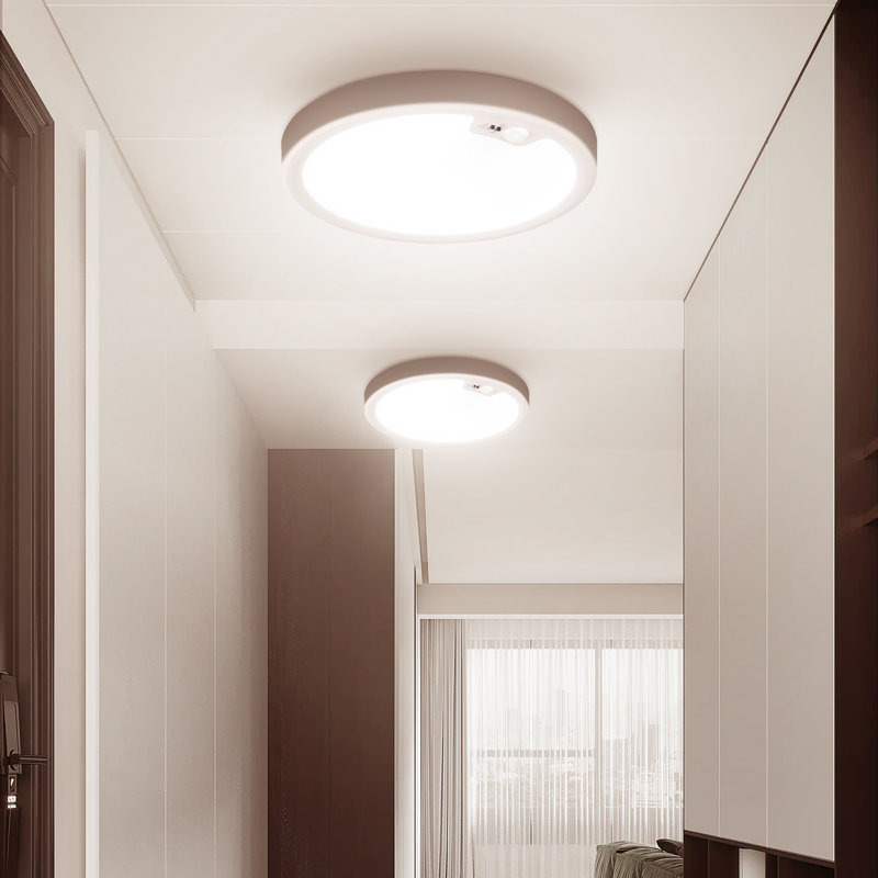 1-Light Flush Mount