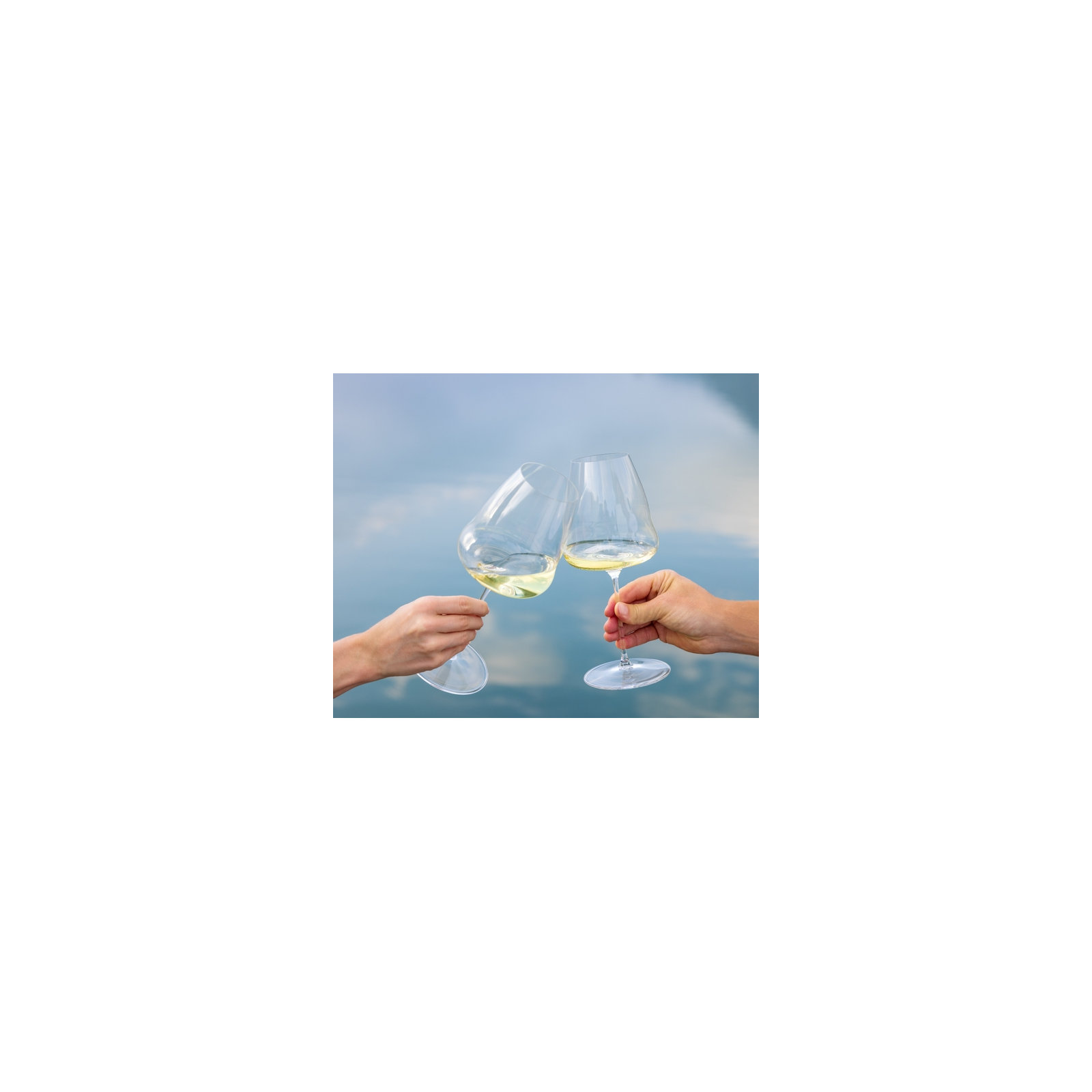 RIEDEL Winewings Sauvignon Blanc Wine Glass