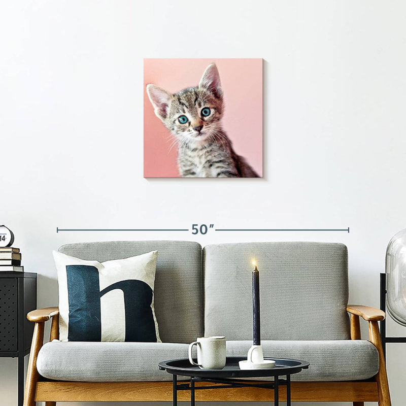 Crowle Staring Cat, 20" H x 20" W