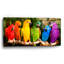 «Rainbow Parrots» par Mike Jones - impression sans cadre-1108586278