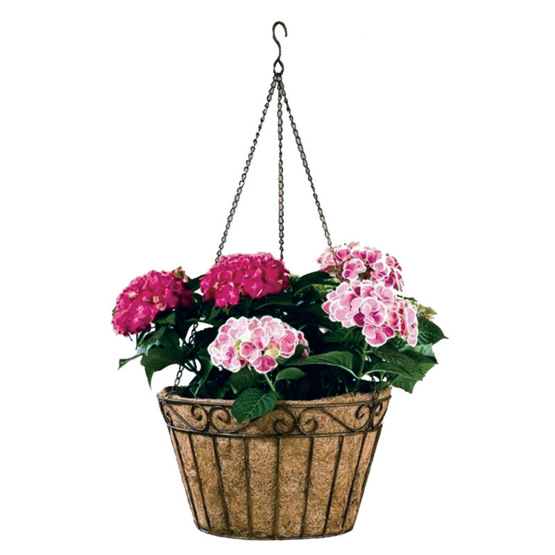 Glass Hanging Planter