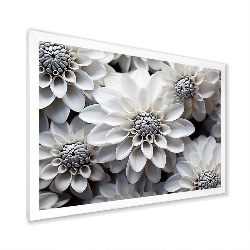 «Essential Black and White Mums Beauty» sur toile, Cadre simple blanc, H 34 po x l 44 po x P 1,5 po