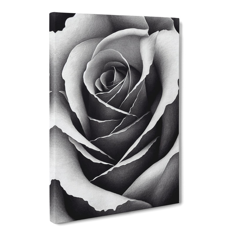 Rose Stippling - Wrapped Canvas, 50cm H x 35cm W x 3cm D