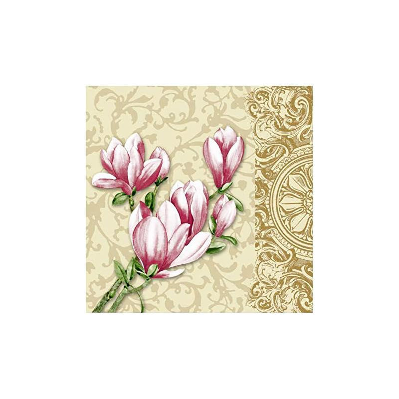 Serviettes jetables, Ensemble de 100