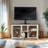TV Stand With Cat House