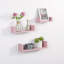 David-Kevan 3 Piece U-Shape Floating Shelf