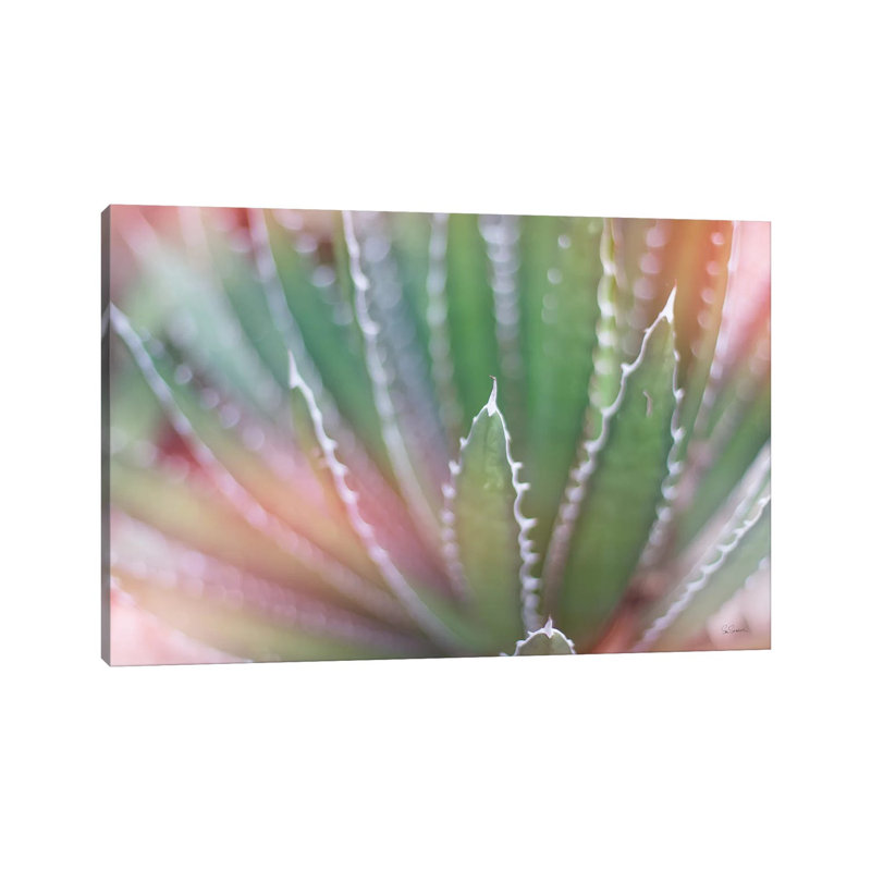 Dream Desert II by Sue Schlabach - Wrapped Canvas Print, 101.6 cm H x 66.04 cm W