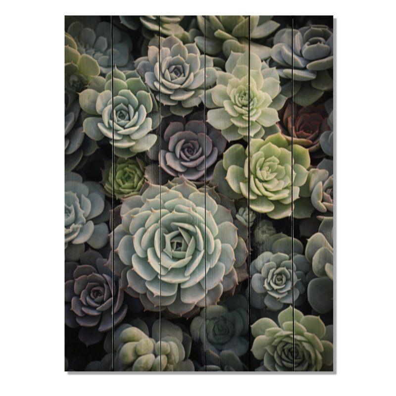 «Green Succulents Flowers Serene Succulents I» sur bois, H 40 po x l 30 po x P 0,78 po