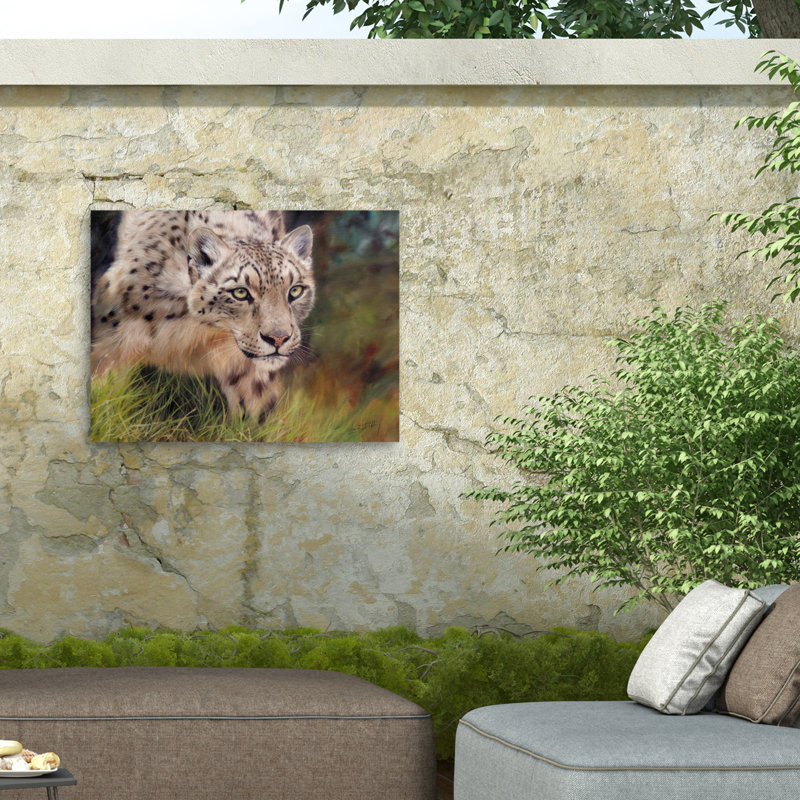Toile d'extérieur David Stribble Snow Leopard 4, H 14 po x l 19 po