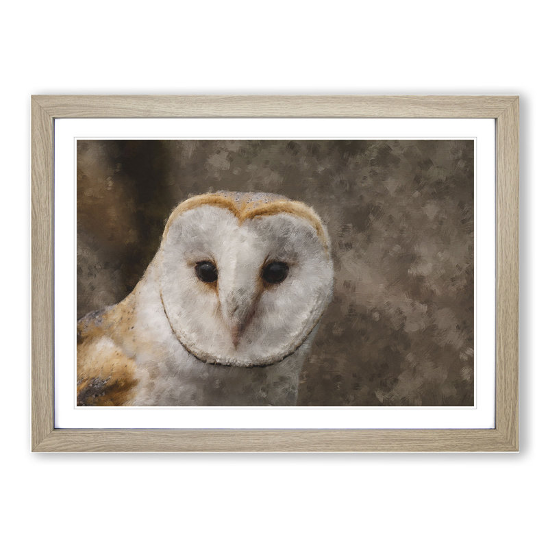 Barn Owl Vol.1 - Picture Frame Painting, Oak Framed, 48cm H x 65cm W x 2cm D