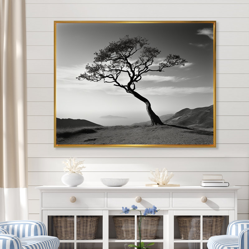 Arbre de solitude noir et blanc, horizon côtier I - impression, Cadre flottant doré, 30" H x 40" W