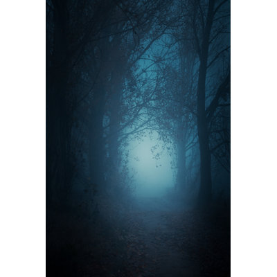 Mysterious Forest - Wrapped Canvas Print
