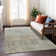 Machine Washable Indoor/Outdoor Xhevrie Taupe Rug