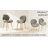 Upholstered Dining Chairs Set of 2-432367893