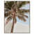 Silver Floater Frame