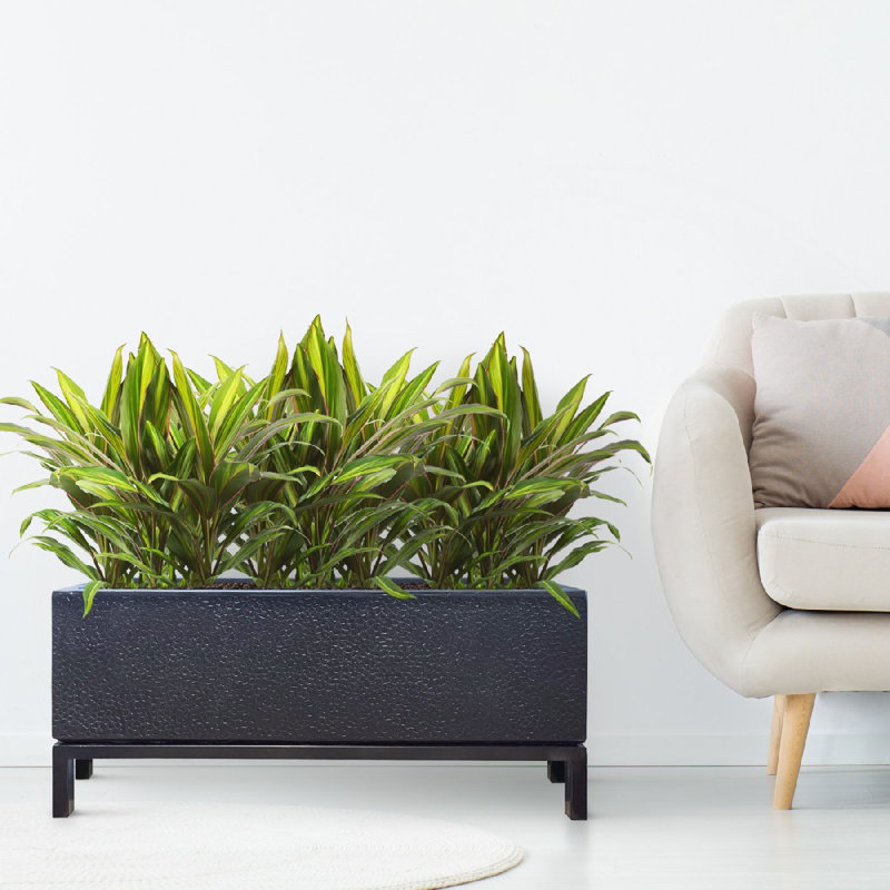 Indoor Raised Trough Planter, Concrete Effect Rectangular Plant Pot with Hammered Pattern, Black Flower Pot on Metal Stand