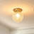 1 - Light Glass Globe Flush Mount Ceiling Light