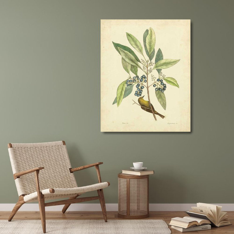 «Red Barrel Studio®» par Catesby, Mark, reproduction d'art sur toile, «Catesby Bird and Botanical V», H 34 po x l 28 po