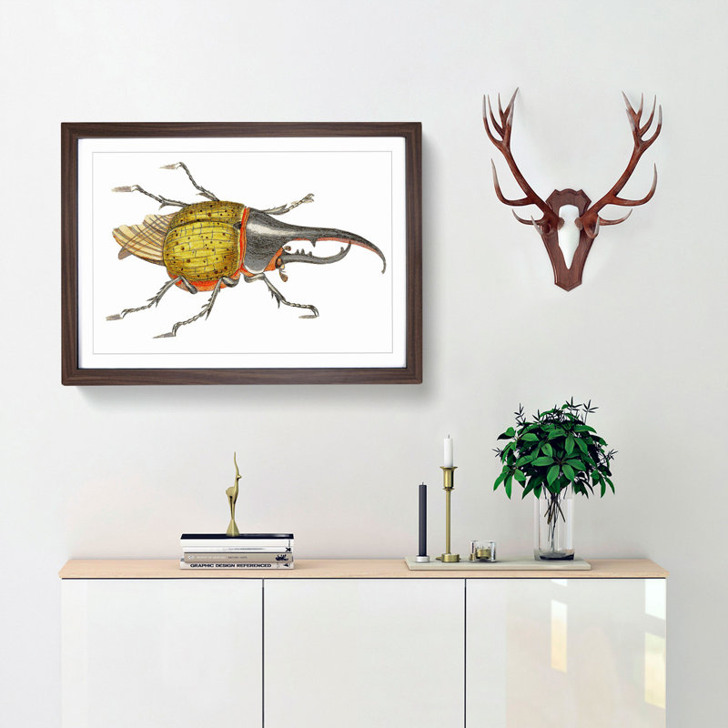 Hercules Beetle by George Shaw - Picture Frame Graphic Art Print, 27cm H x 36cm W x 2cm D, Walnut Framed
