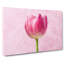 Perfectly Pink Tulip Flower - Wrapped Canvas Painting-56634910
