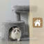 Tour pour chat avec condo et poteau à griffes pour petits espaces-1957664244