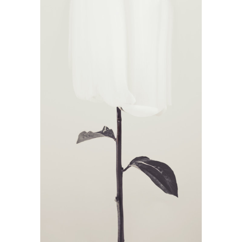 Wrapped Canvas Print, 50.8 cm H x 76.2 cm W