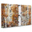 Birch Trees In Autumn - Wrapped Canvas-55363618