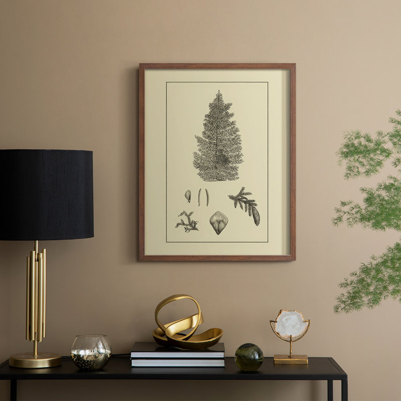Arbor Study I Framed Print - Solid Wood, Walnut, 11" H x 9" W