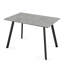 Metal Base Dining Table-1824366417