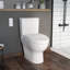 Toilette à bidet allongée 1,27 GPF (économe en eau) (siège inclus)