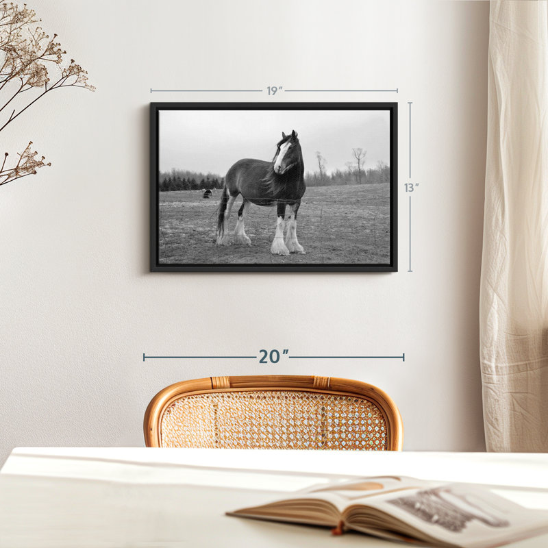 " Monochrome Clydesdale Horse ", 19" H x 13" W
