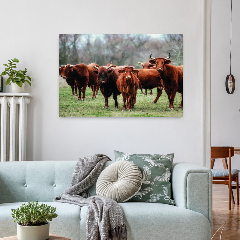 «Gathered Together», art contemporain de vache, H 24 po x l 36 po