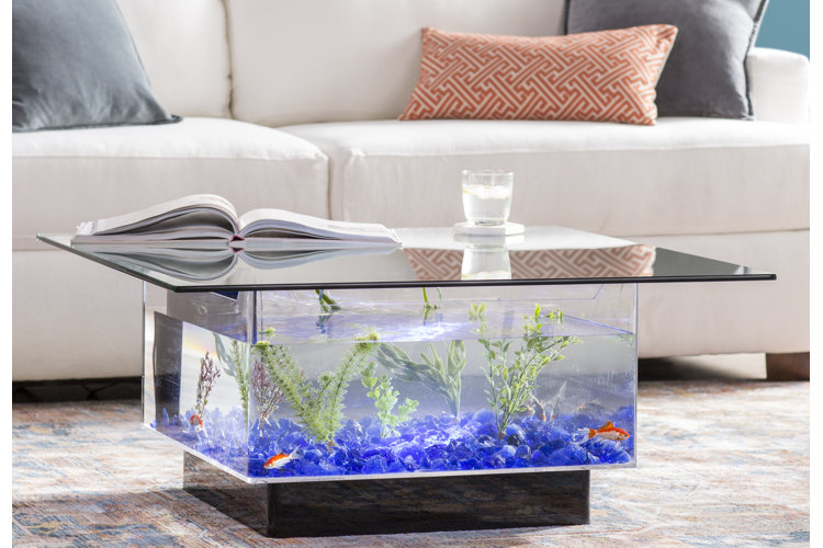 How to set up a fish tank coffee table aquarium in modern style living room