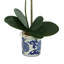 Orchid Arrangement In An Ornate Ceramic Vase
