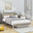 Wilhelmi Metal Platform Bed Frame with Trundle and USB Ports-1270646391-1270646385