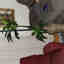 Photos des clients 1 de 2
