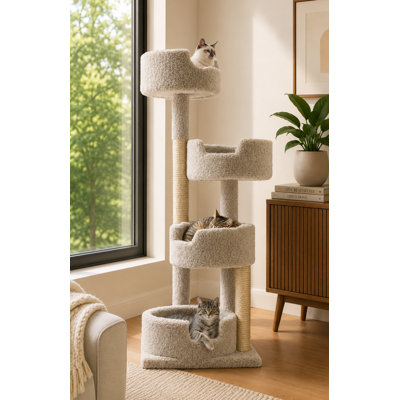 New Cat Condos Maison pour chat avec maison fermée